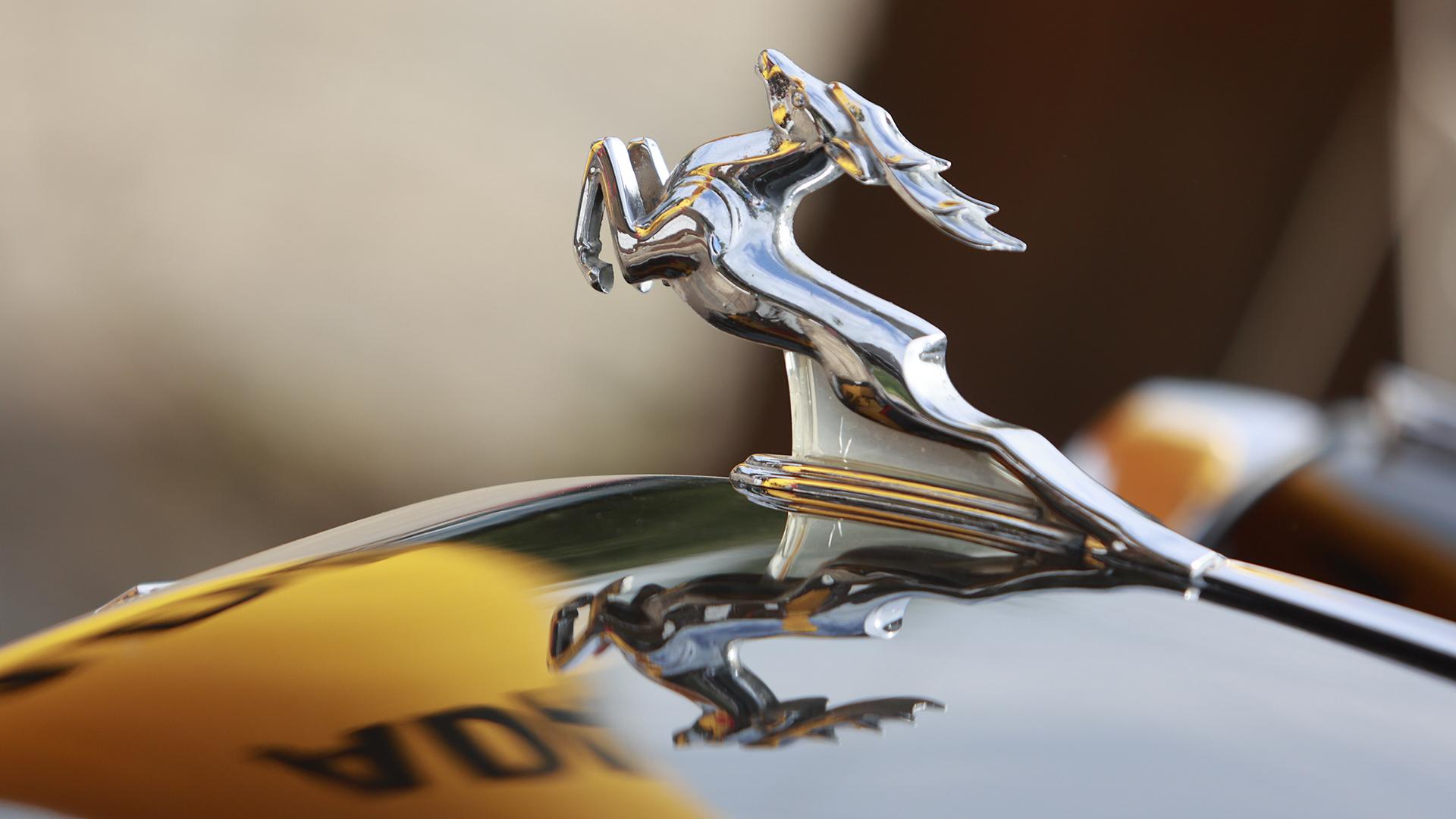 Фото: Matthias Bein/globallookpress.com