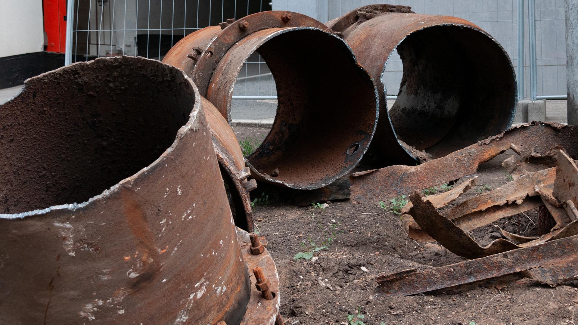 Фото: Svetlana Vozmilova/globallookpress.com