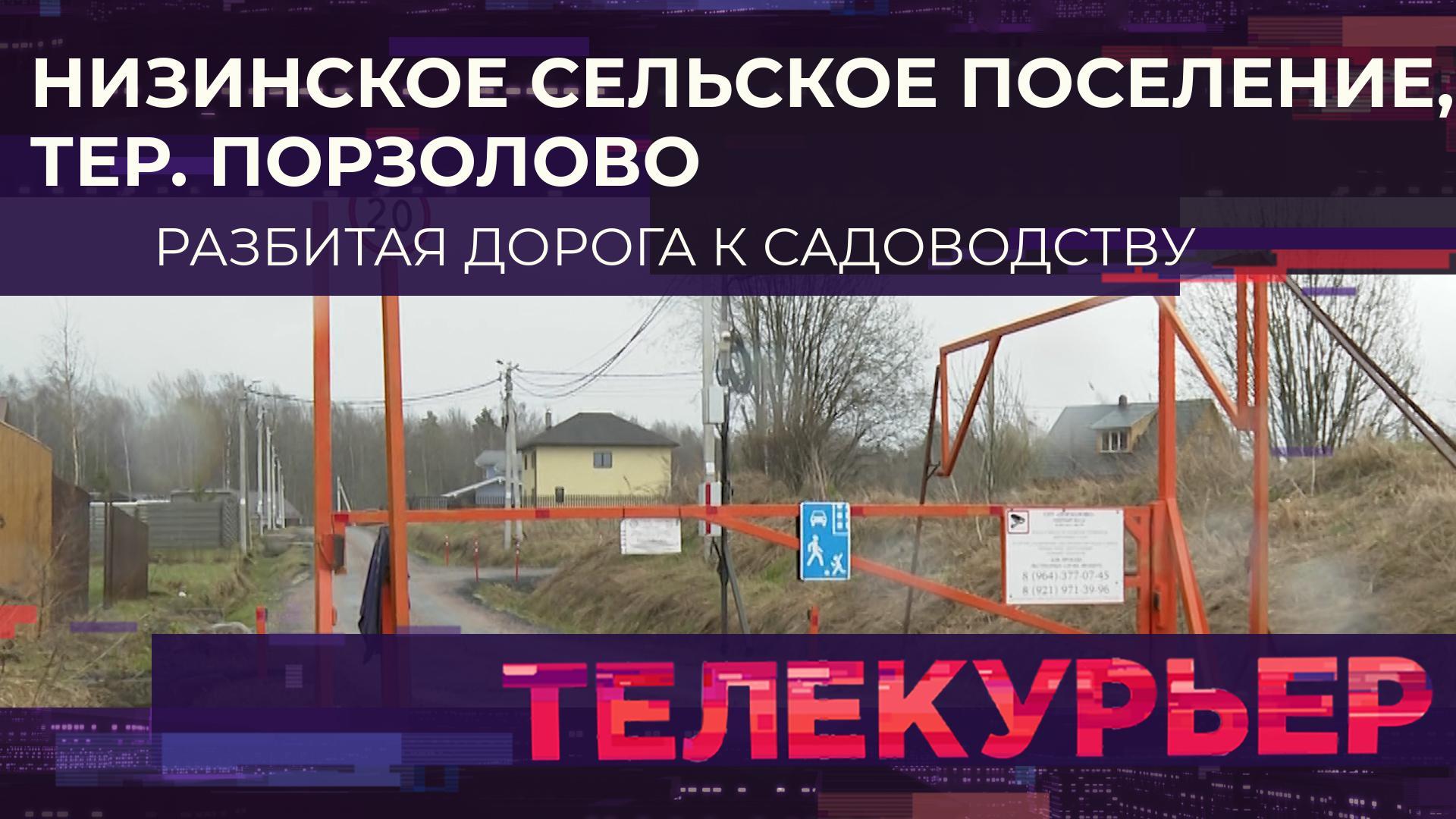 «Телекурьер» (25 апреля 2024)