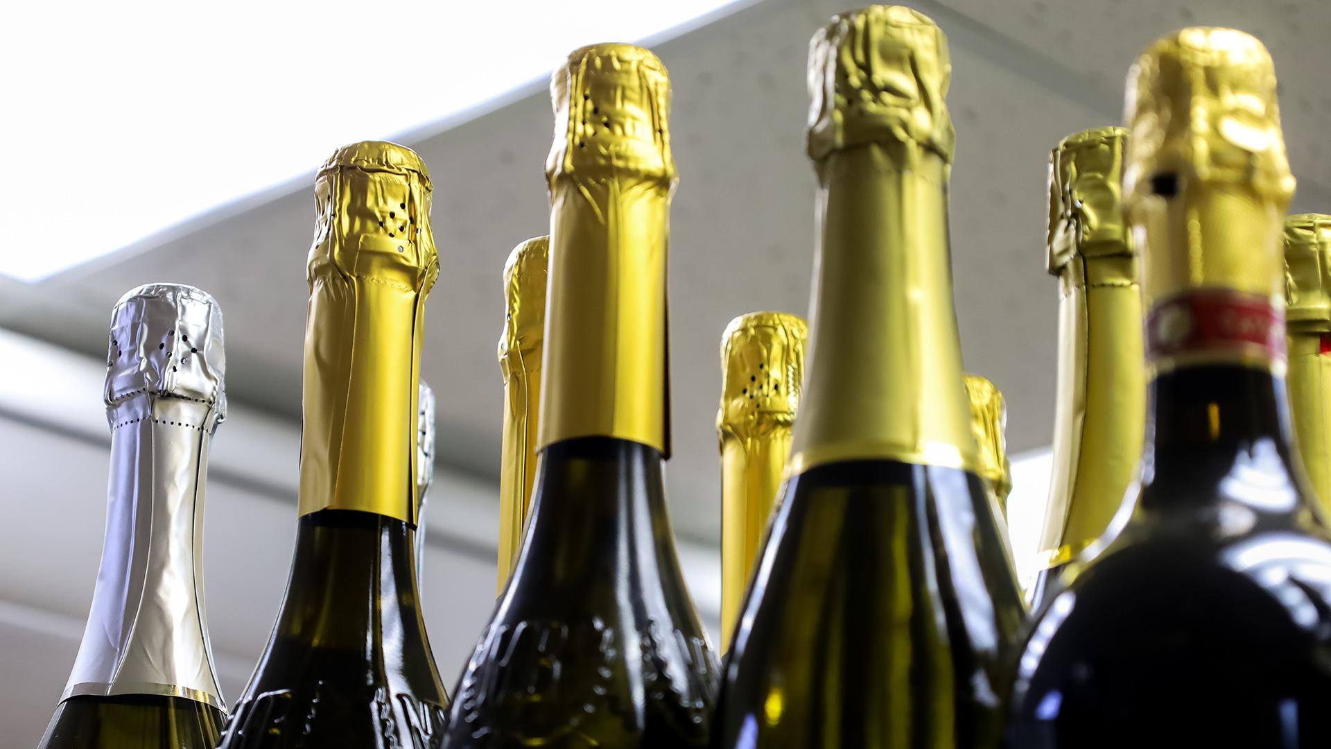 Фото: Elena Mayorova/globallookpress.com