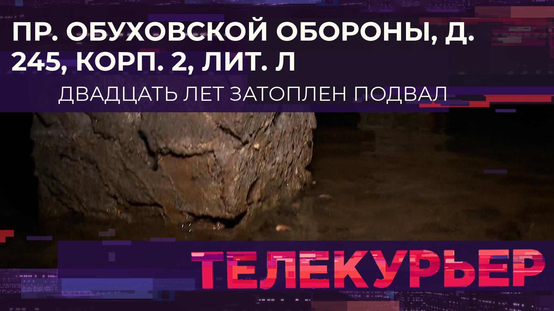 Телекурьер» 12+, Выпуск 13.05.2024 | 78.ru