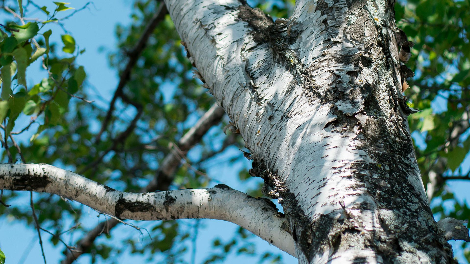 Фото: unsplash.com