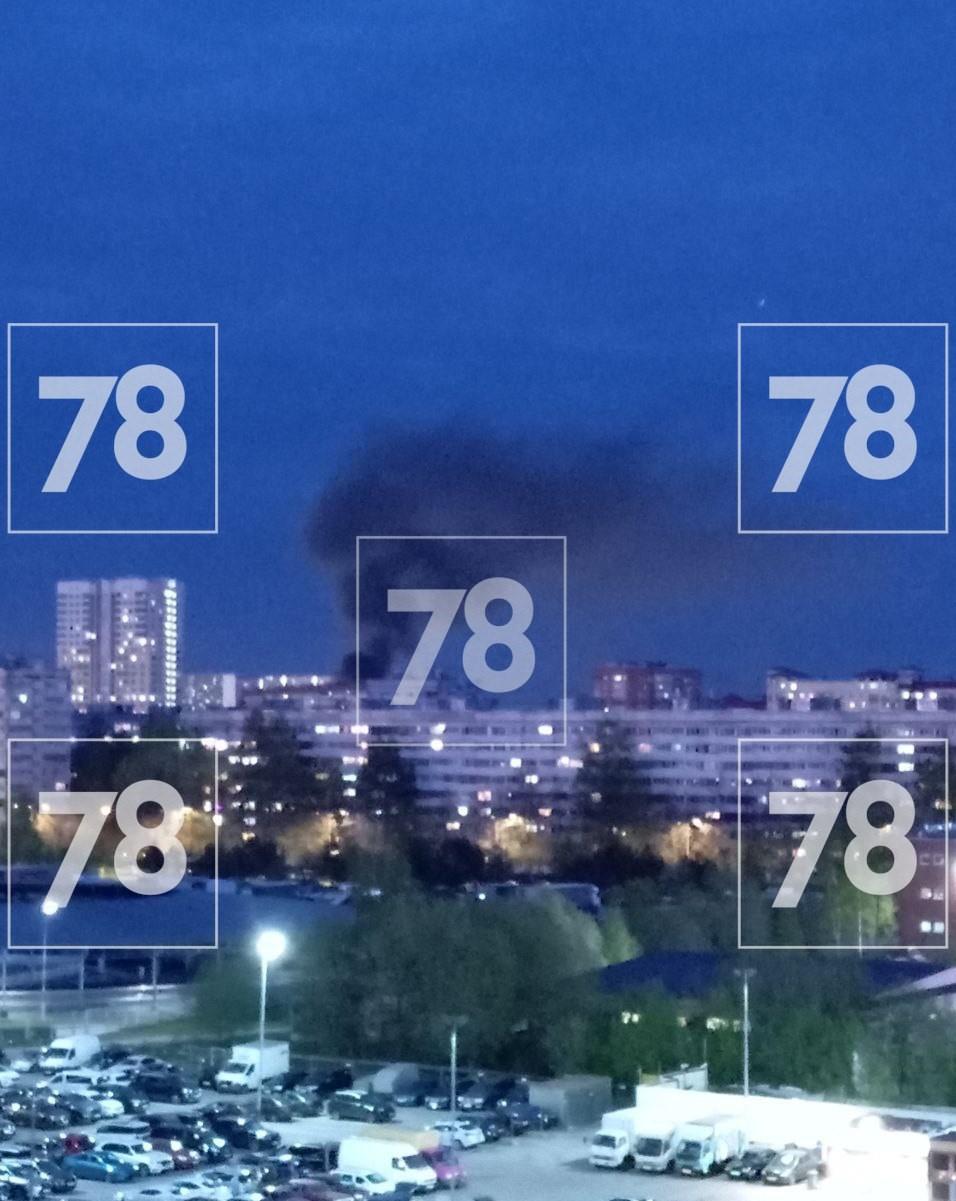 Фото: Соцсети