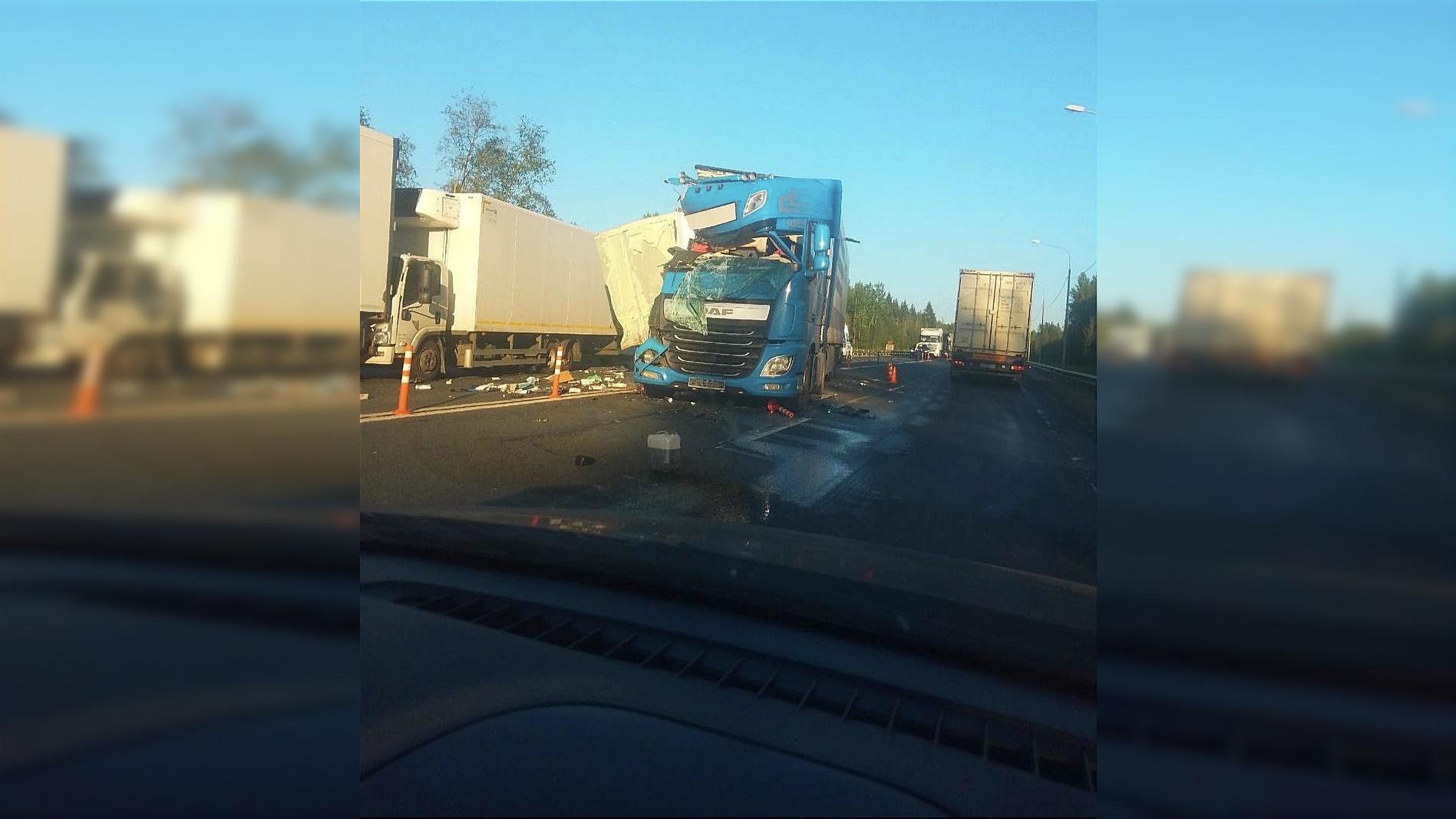 Великий новгород секс