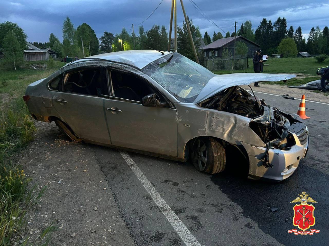 На Киевском шоссе в Петербурге автобус насмерть сбил лося