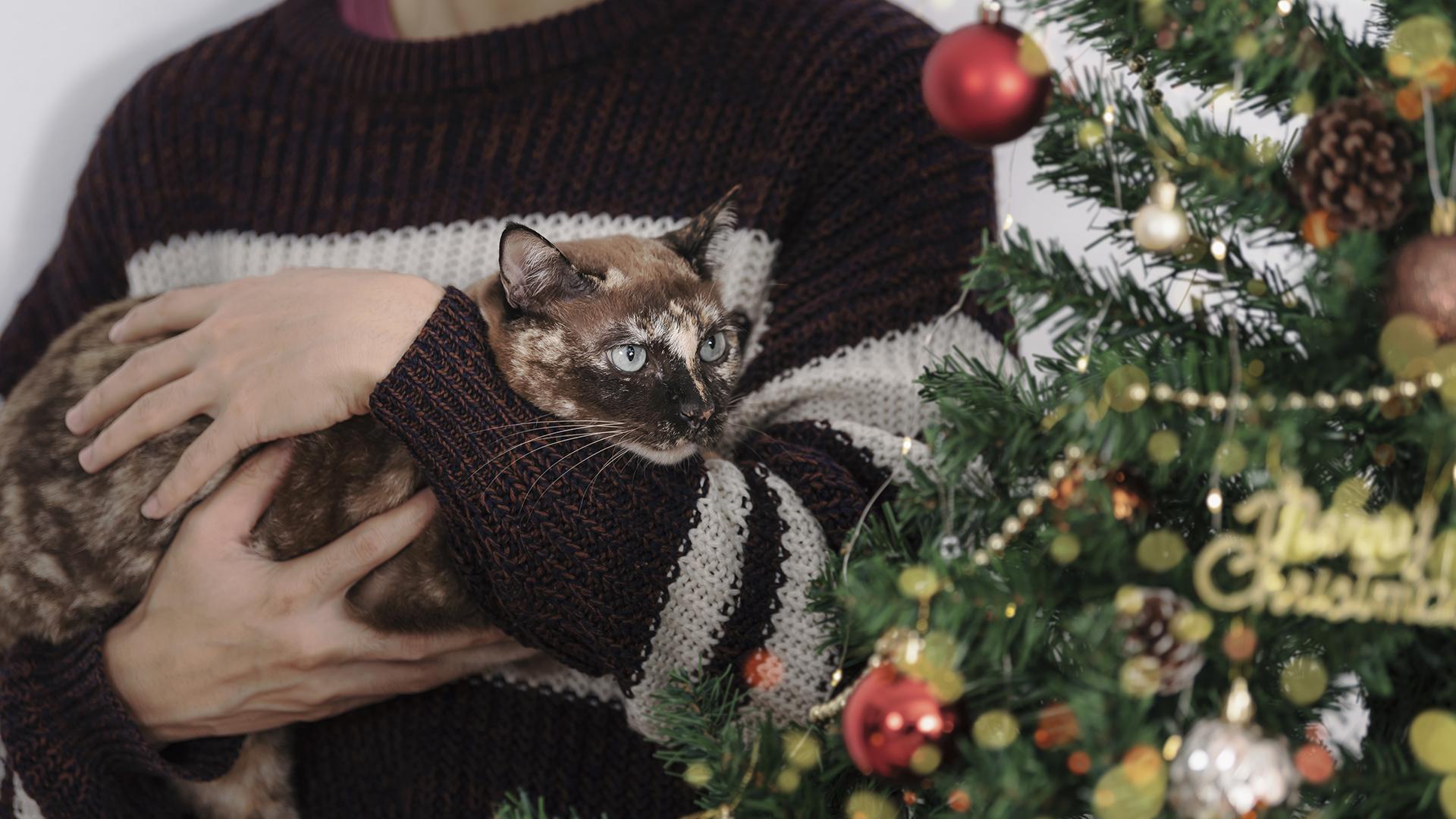 Фото: freepik.com/our-team