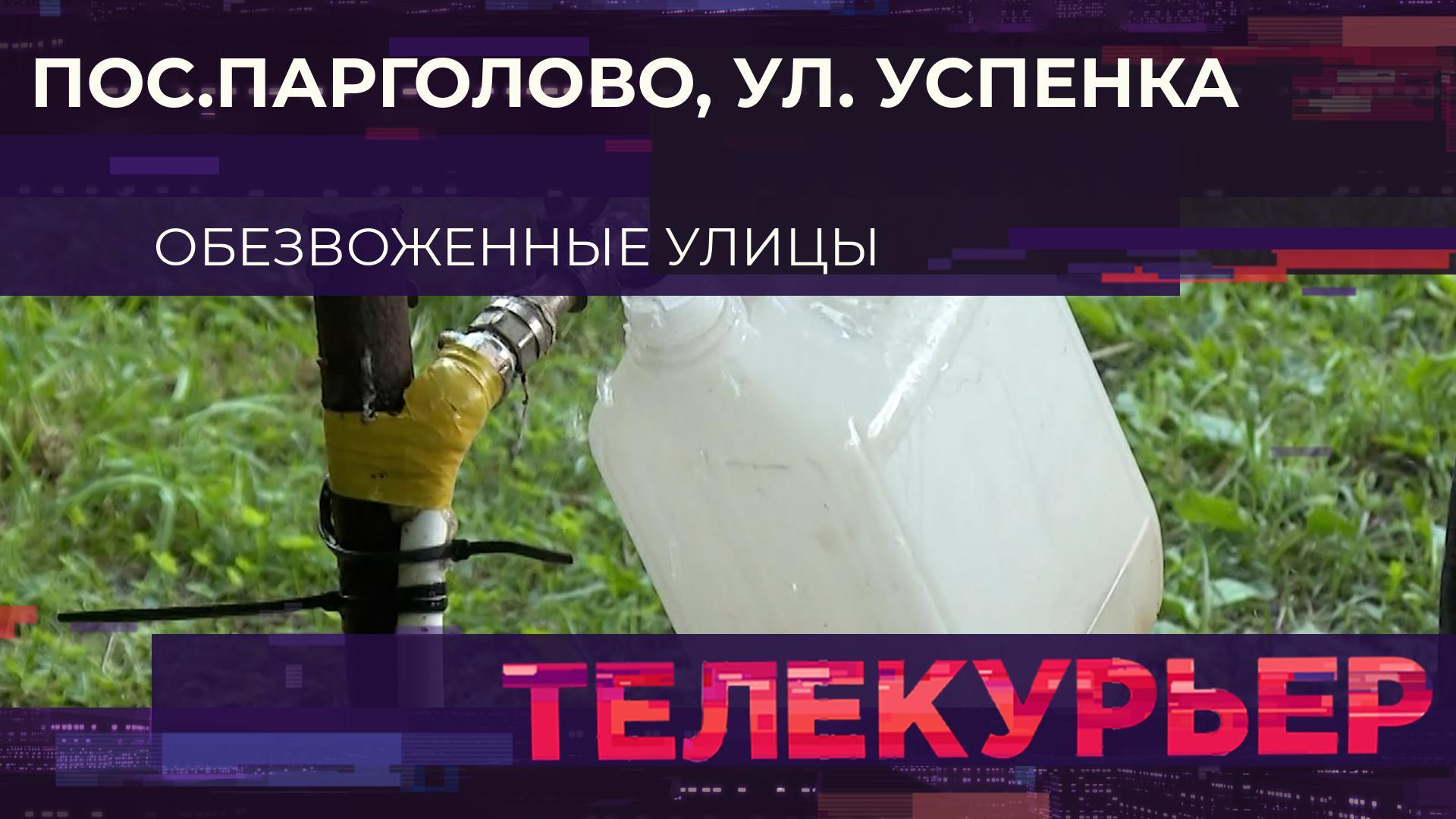 «Телекурьер» (5 июня 2024)