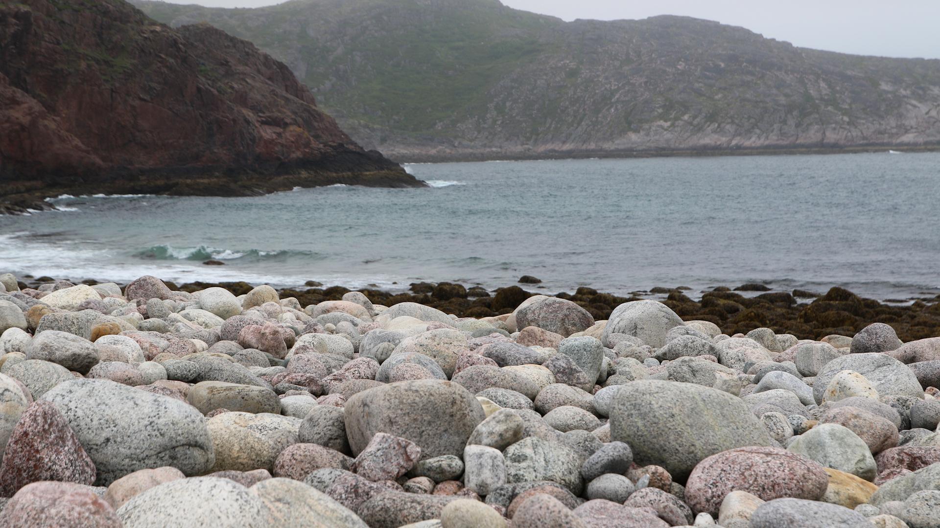 Фото: Maksim Konstantinov/Globallookpress.com