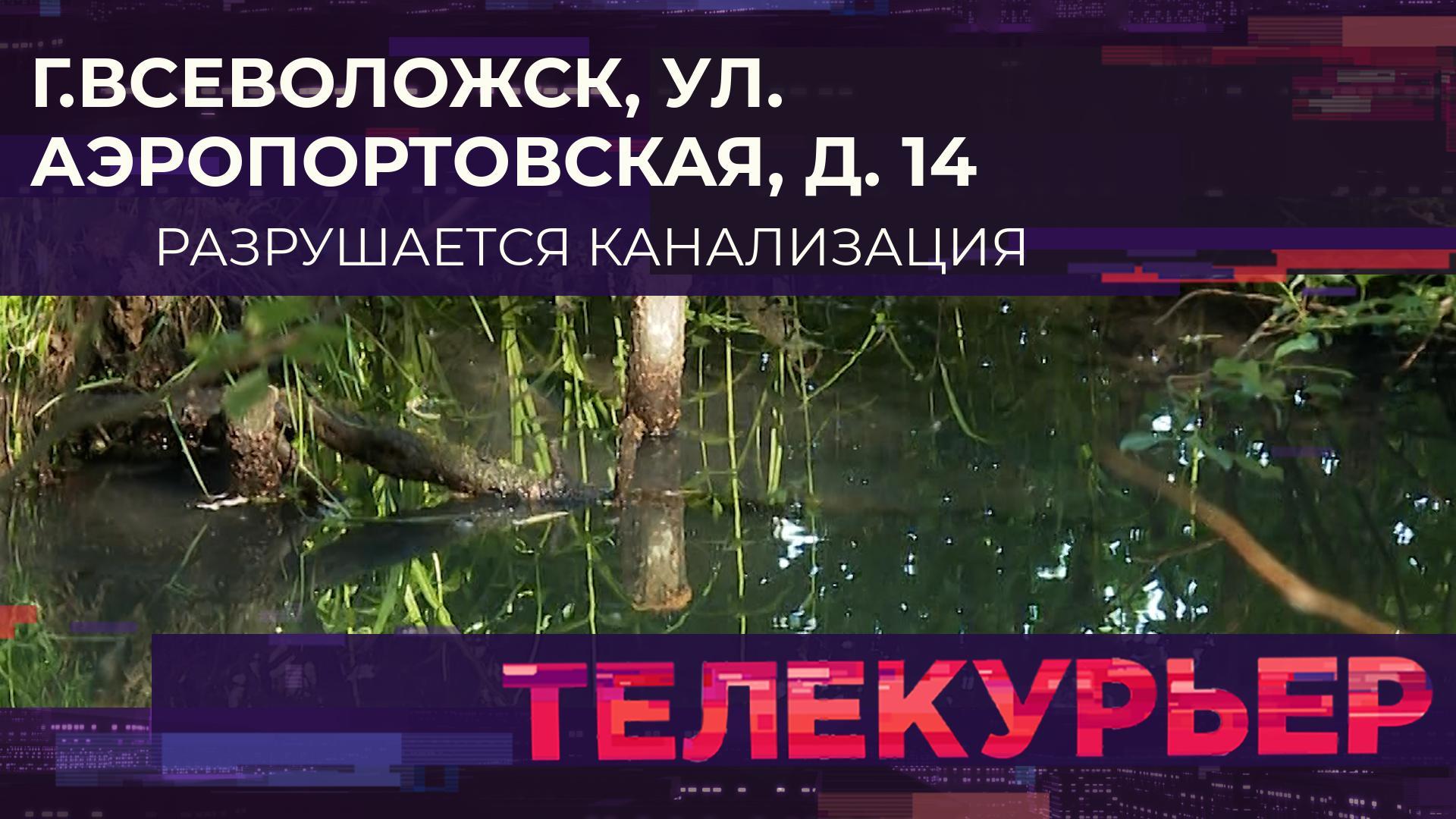 Телекурьер» на 78