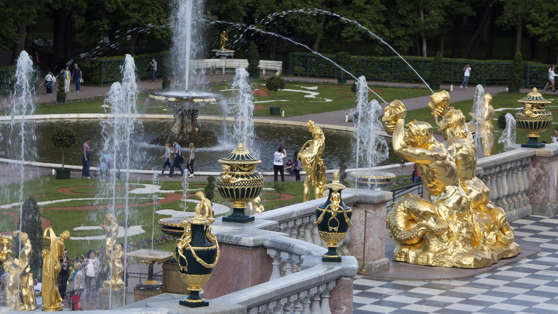 Фото: Nikolay Gyngazov/globallookpress.com