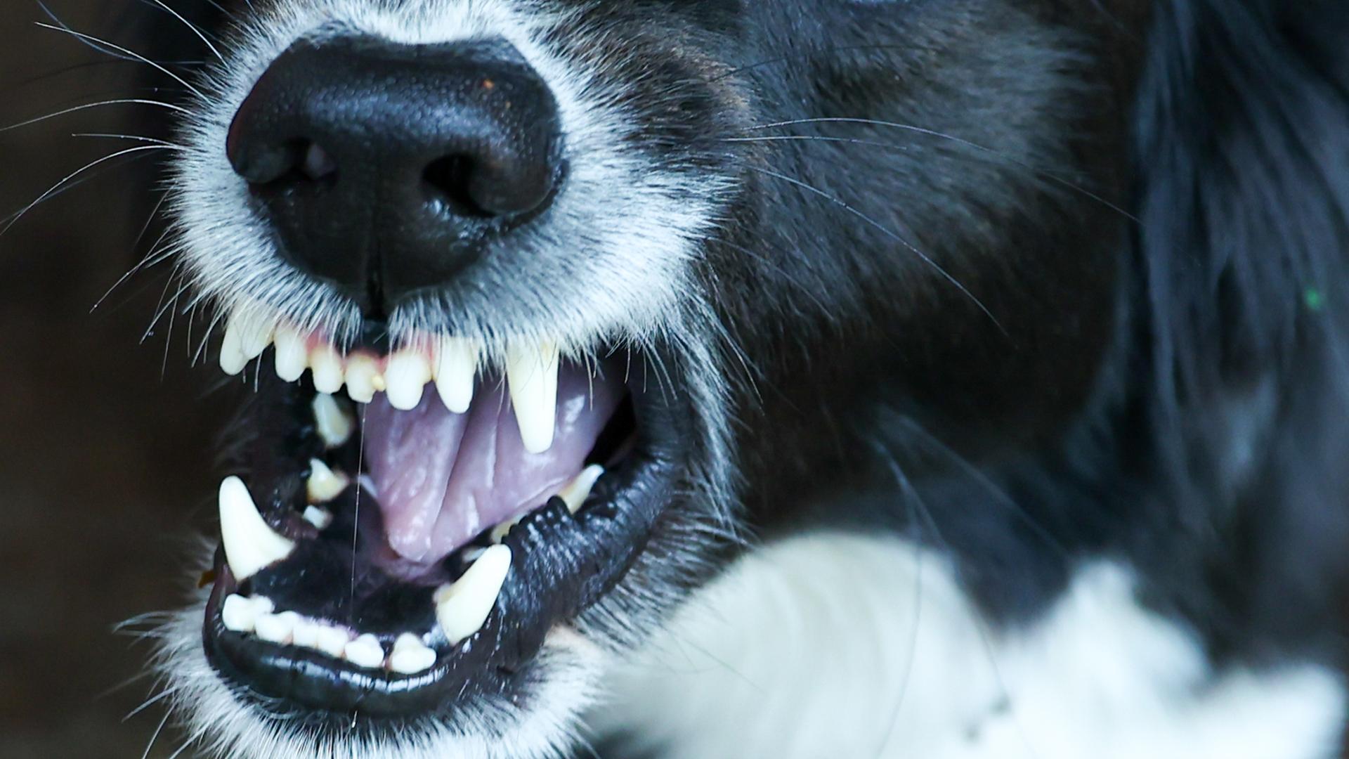 Фото: Petrov Sergey/globallookpress.com