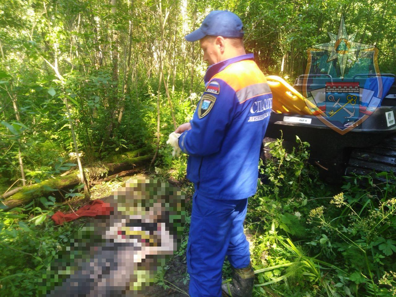 В Приозерском районе нашли тело пропавшейженщины