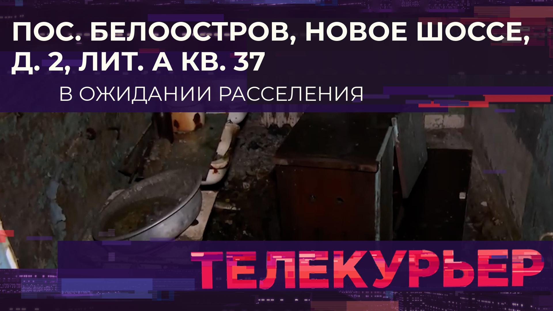 «Телекурьер» (25 июля 2024)