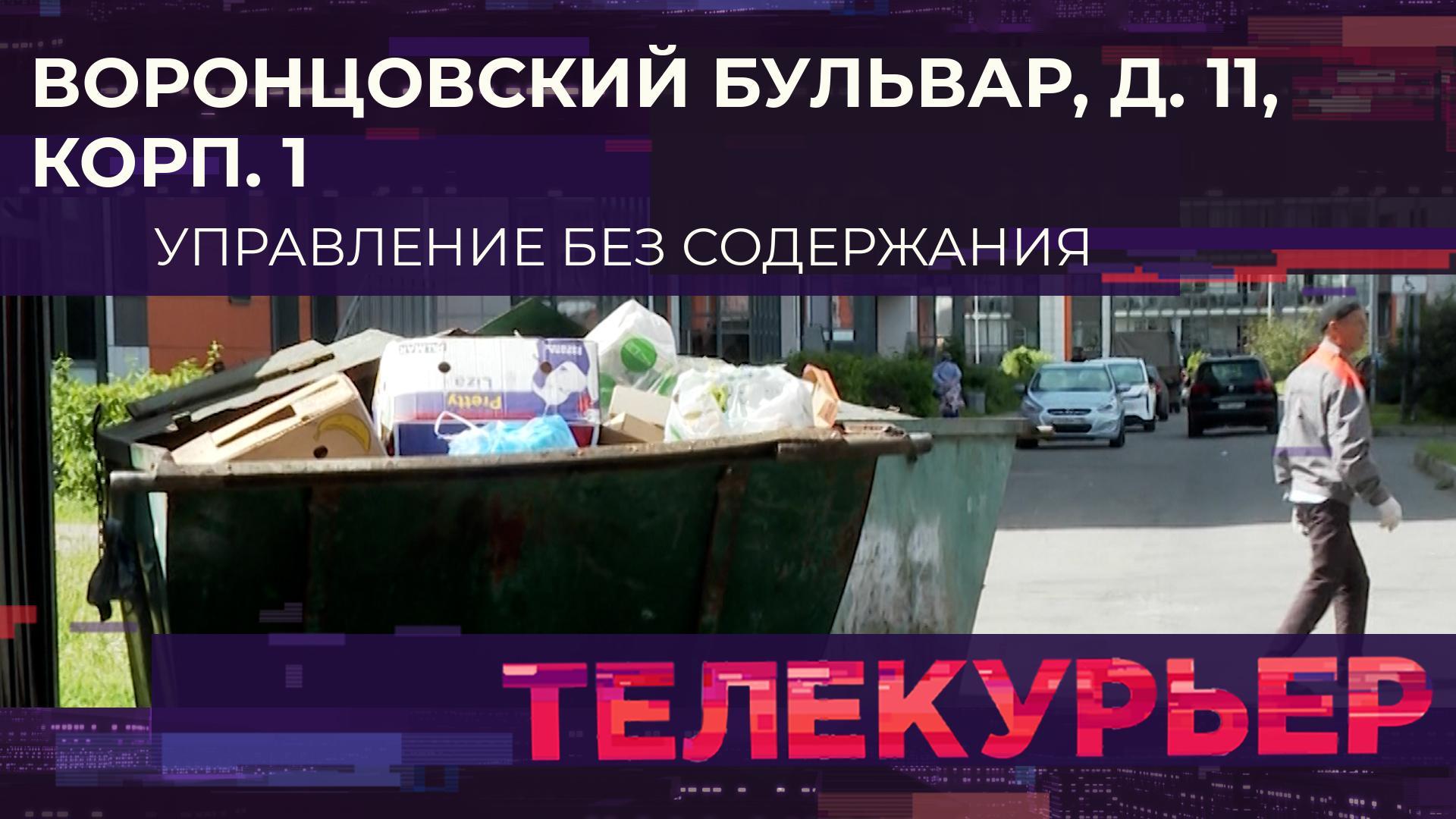 «Телекурьер» (29 июля 2024)