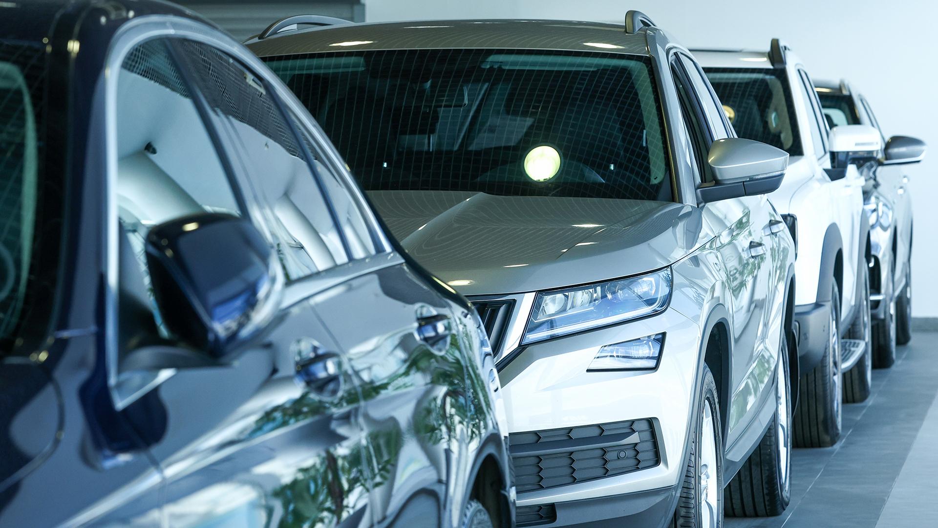 Фото: Petrov Sergey/globallookpress.com