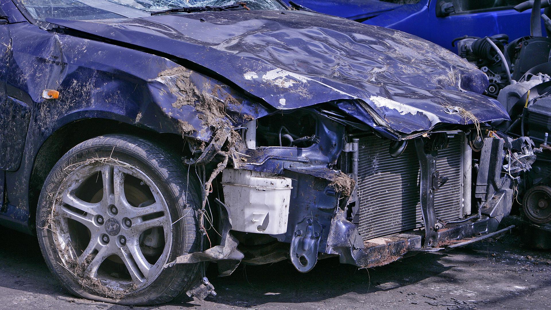 Фото: Bodo Schieren/globallookpress.com