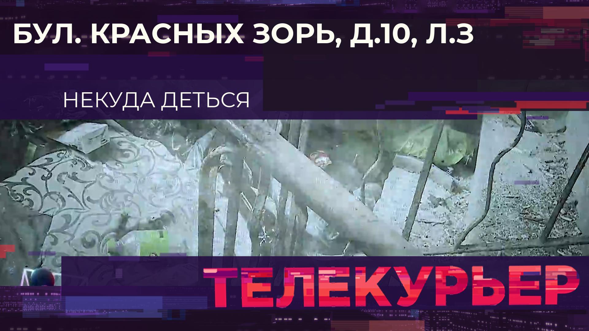 «Телекурьер» (31 июля 2024)