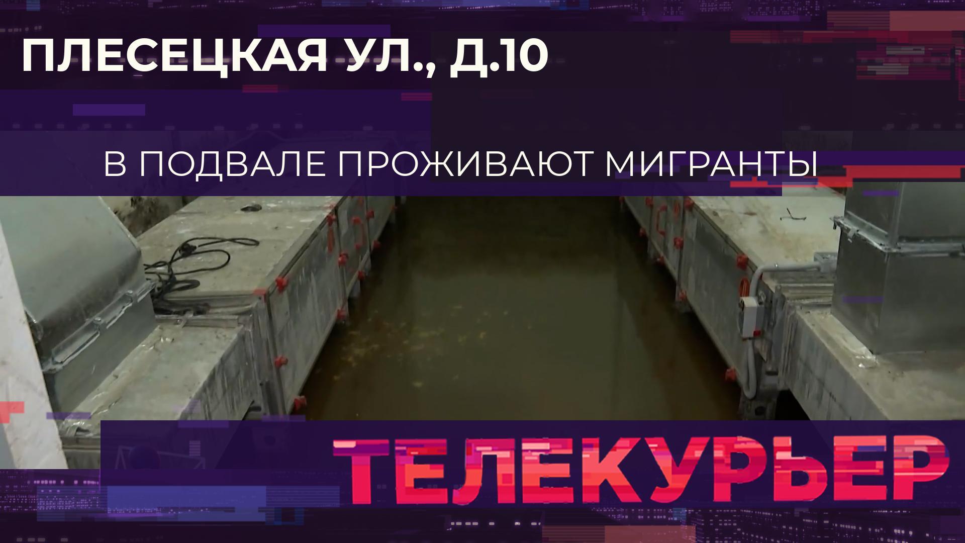 «Телекурьер» (5 августа 2024)