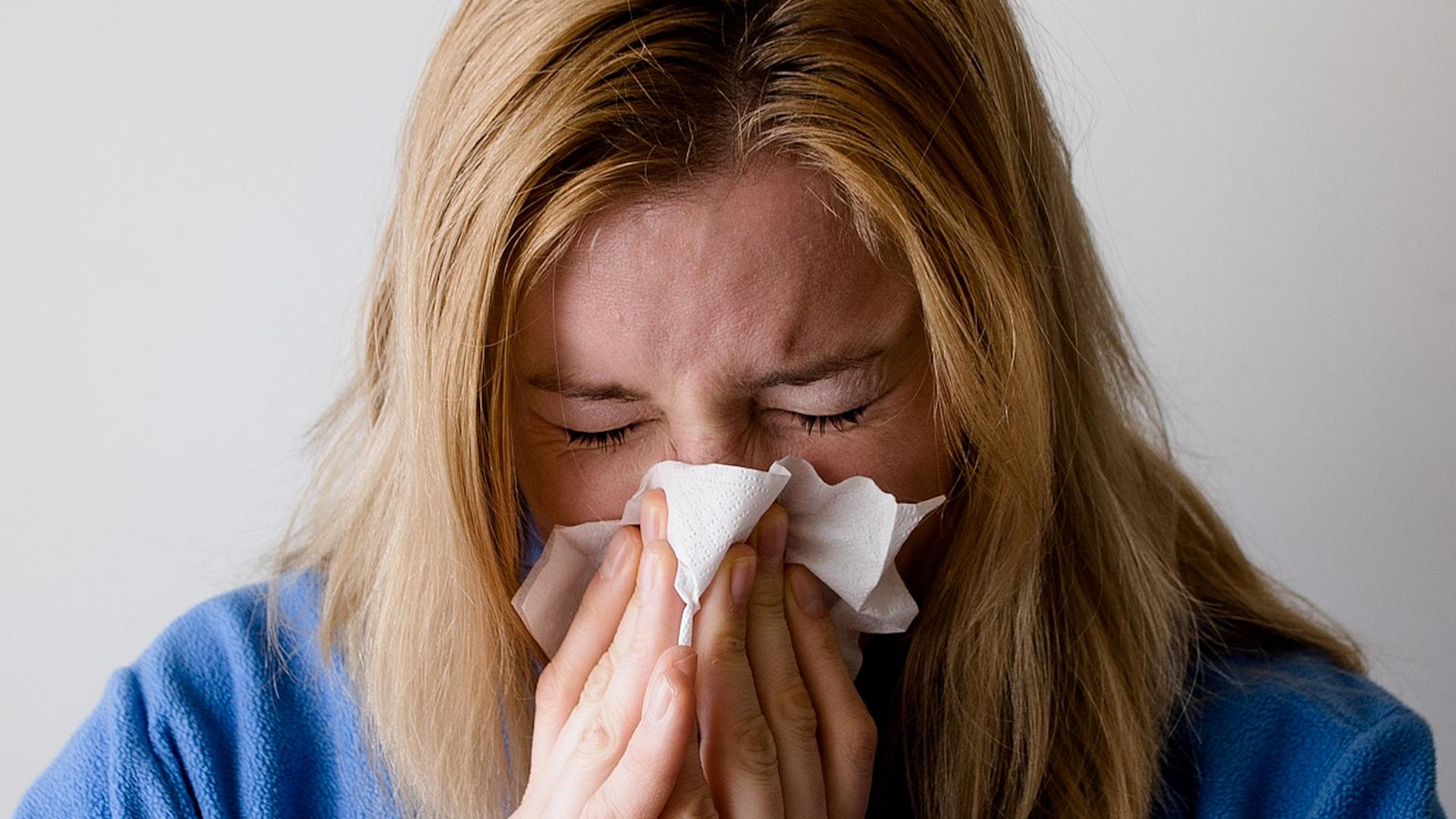 Фото: pixabay.com