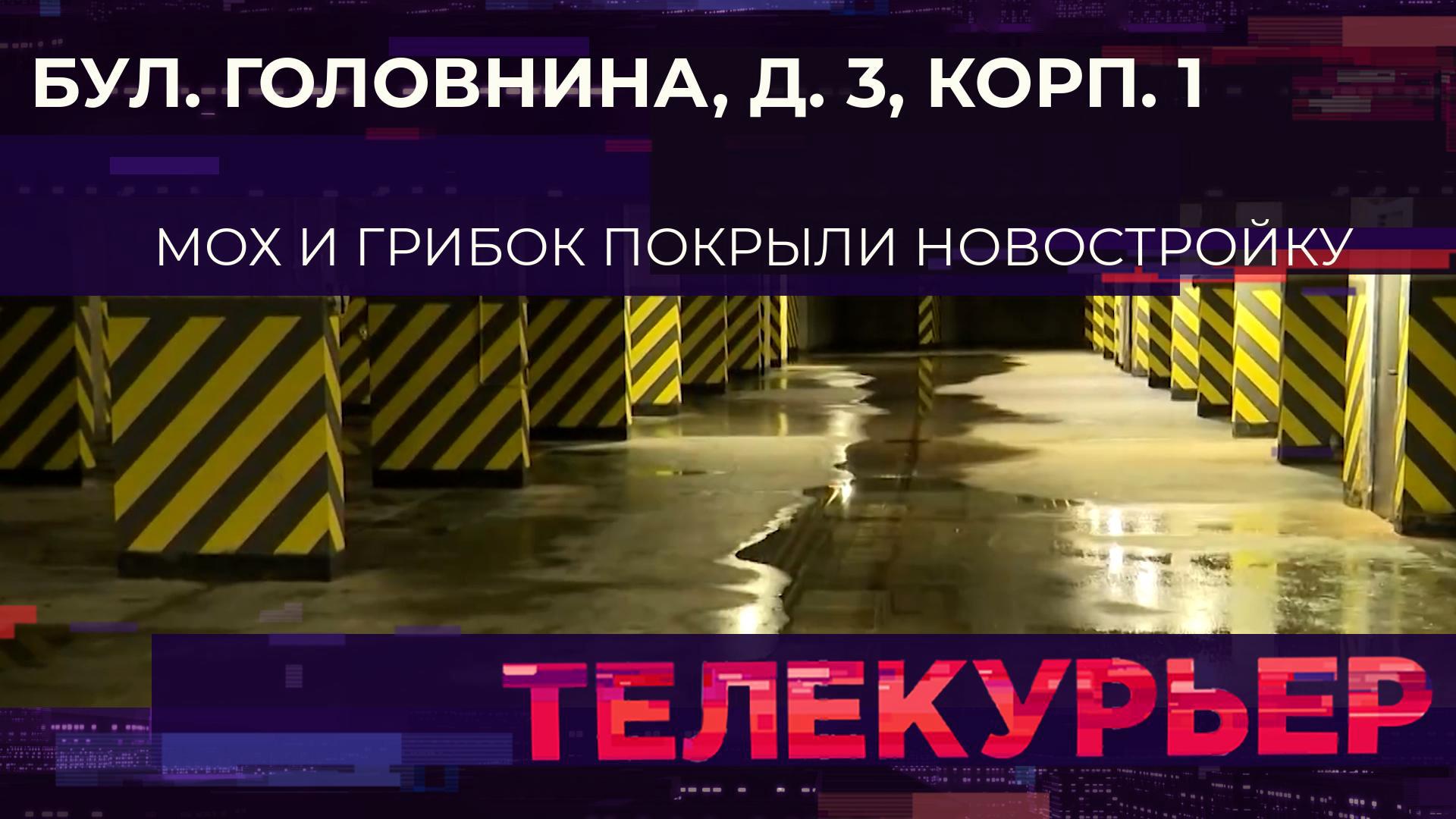 «Телекурьер» (7 августа 2024)