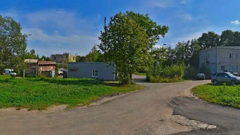 СК начал проверку после обнаружения аномального количества тел...