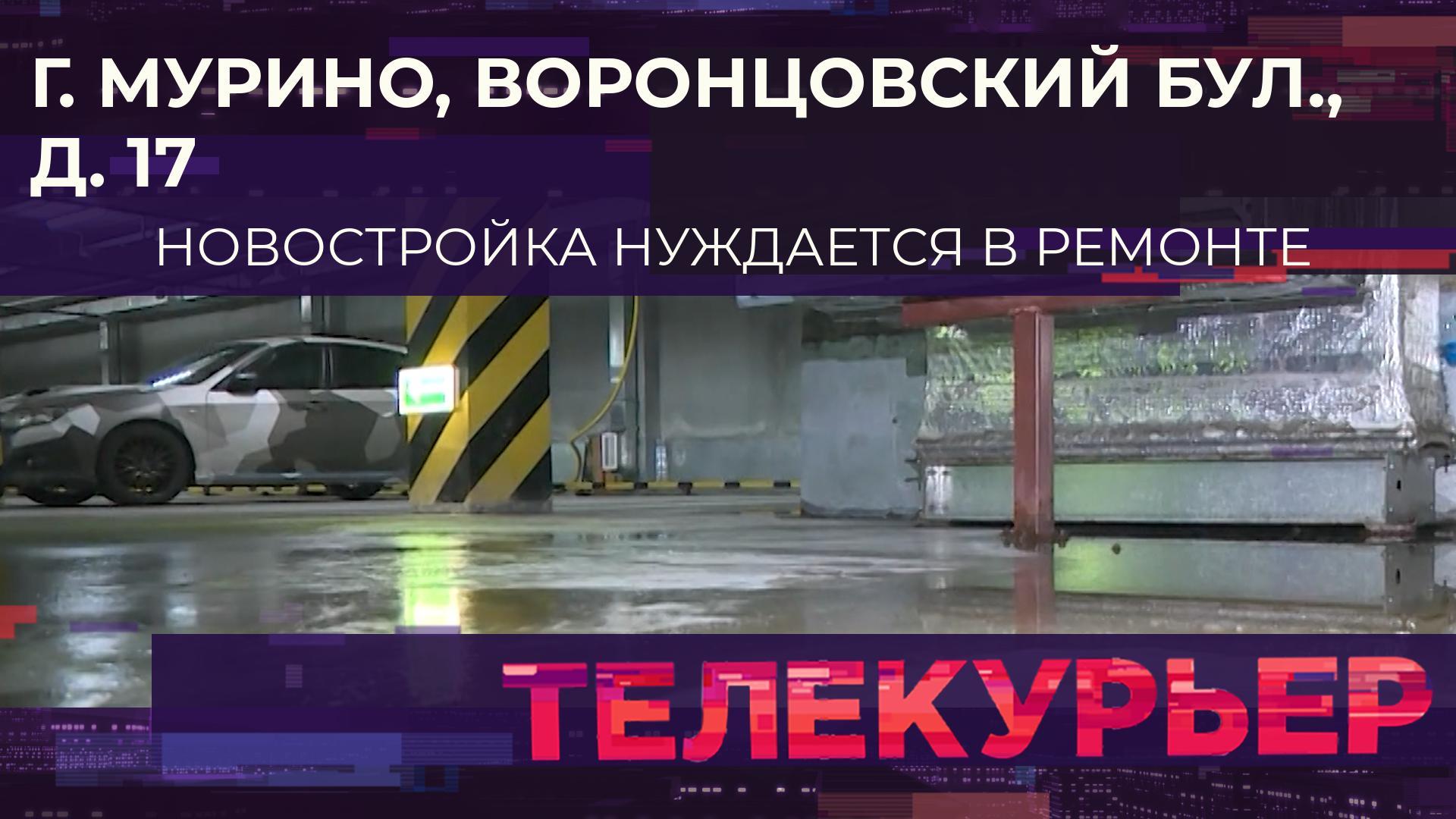 «Телекурьер» (23 августа 2024)