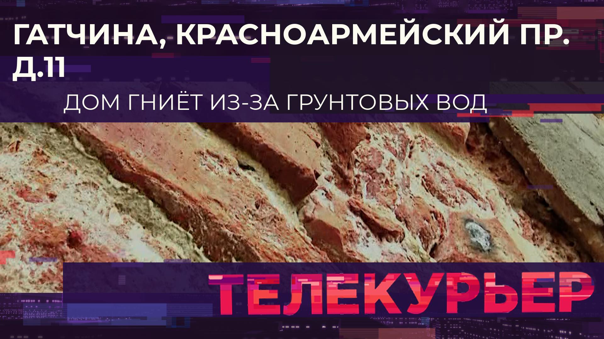 «Телекурьер» (29 августа 2024)