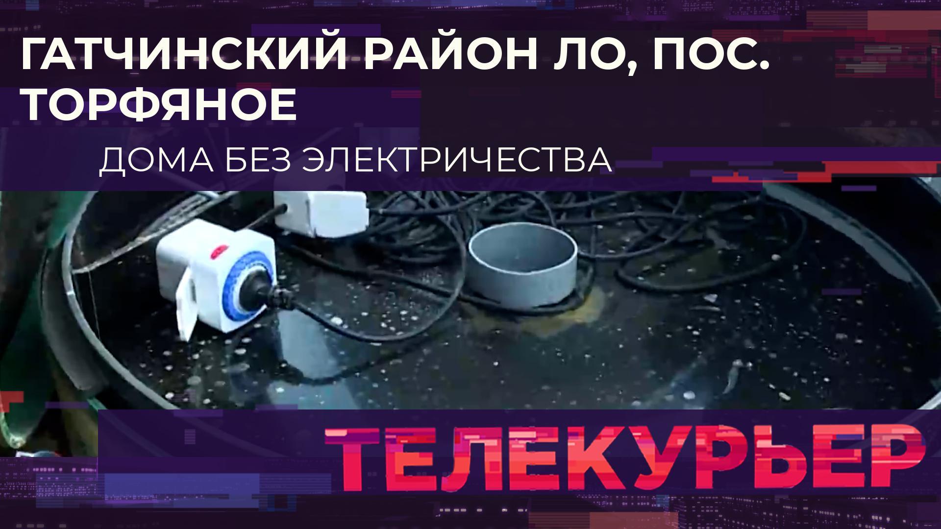 «Телекурьер» (6 сентября 2024)