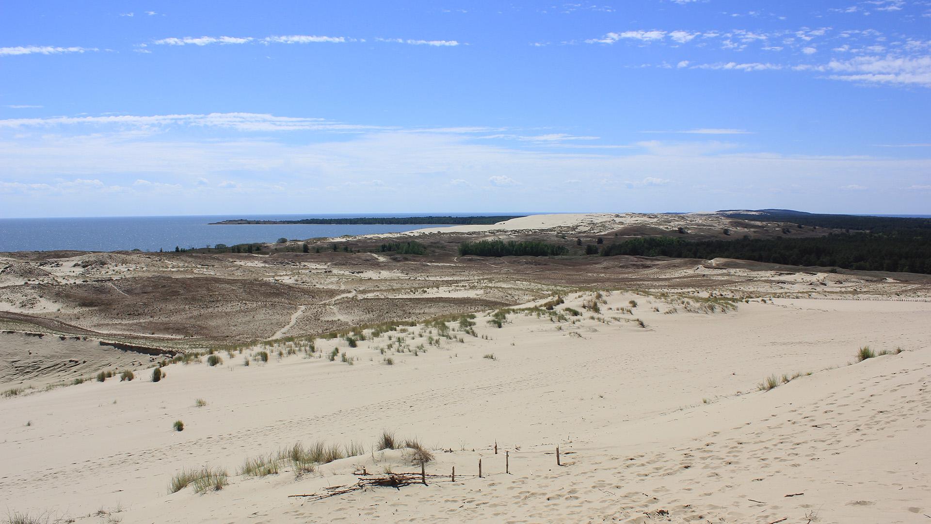 Фото: wikimedia.org/Andrzej Otrębski; CC BY-SA 4.0