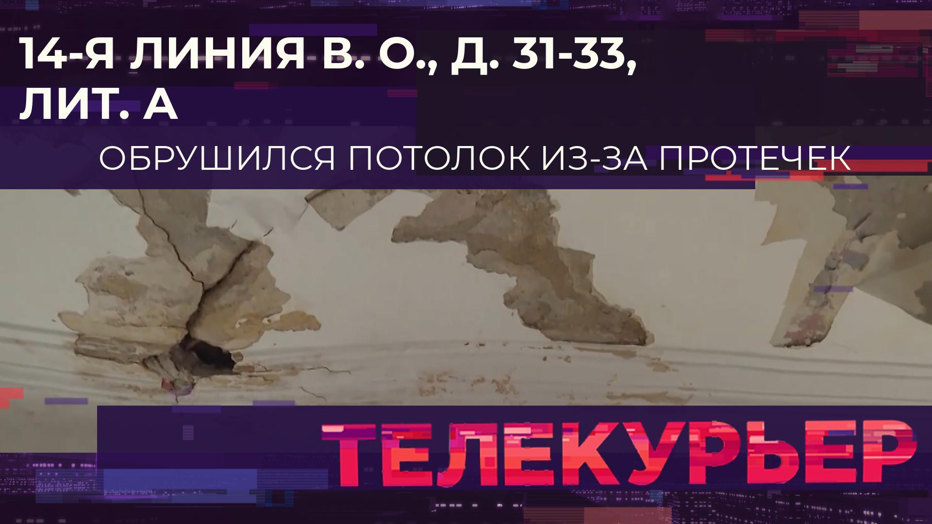 «Телекурьер» (16 сентября 2024)