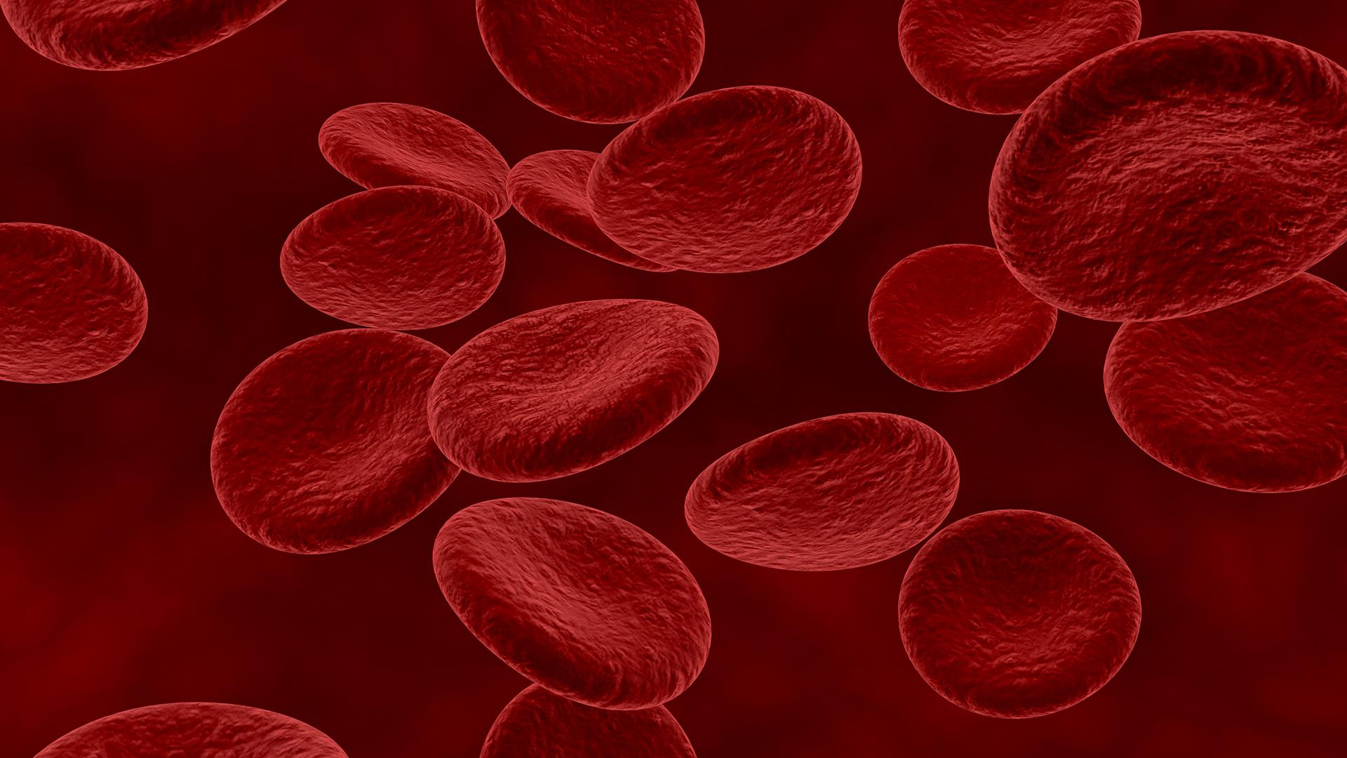 Фото: freepik.com/kjpargeter