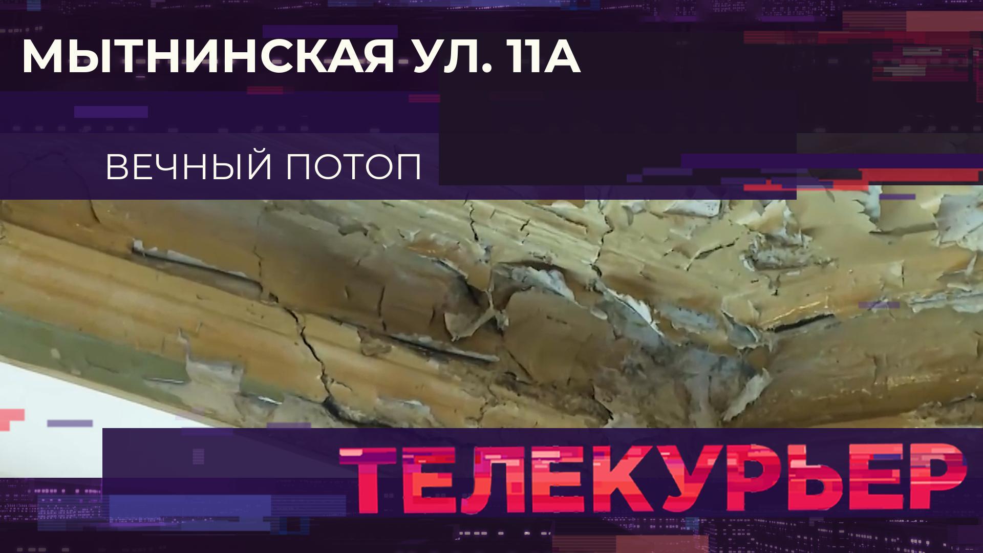 «Телекурьер» (24 сентября 2024)