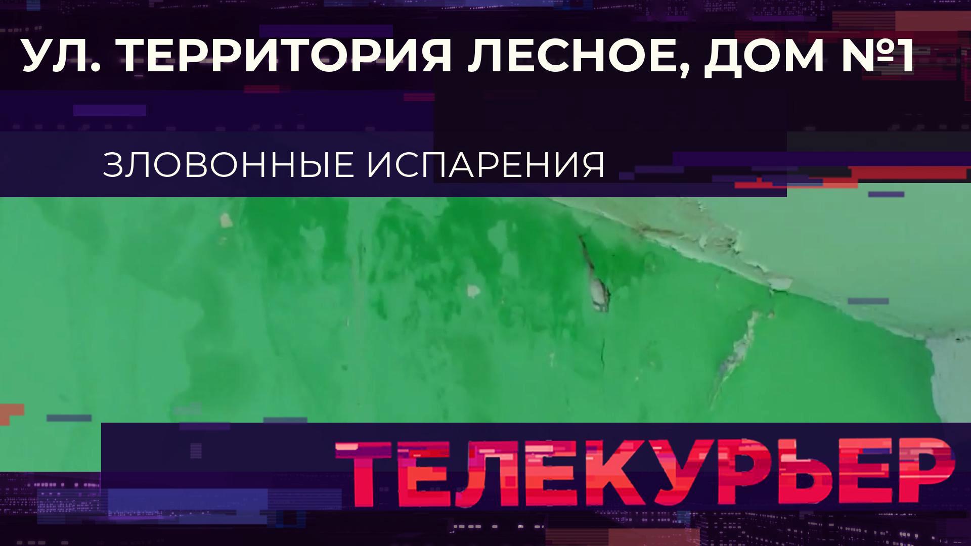 «Телекурьер» (25 сентября 2024)