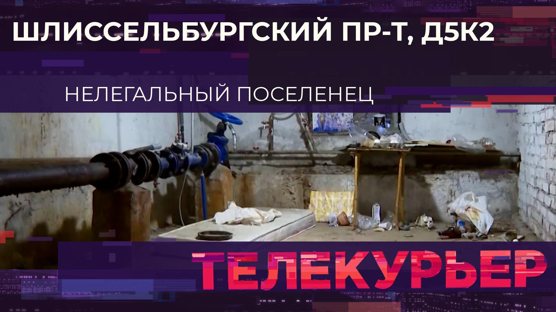 «Телекурьер» (27 сентября 2024)