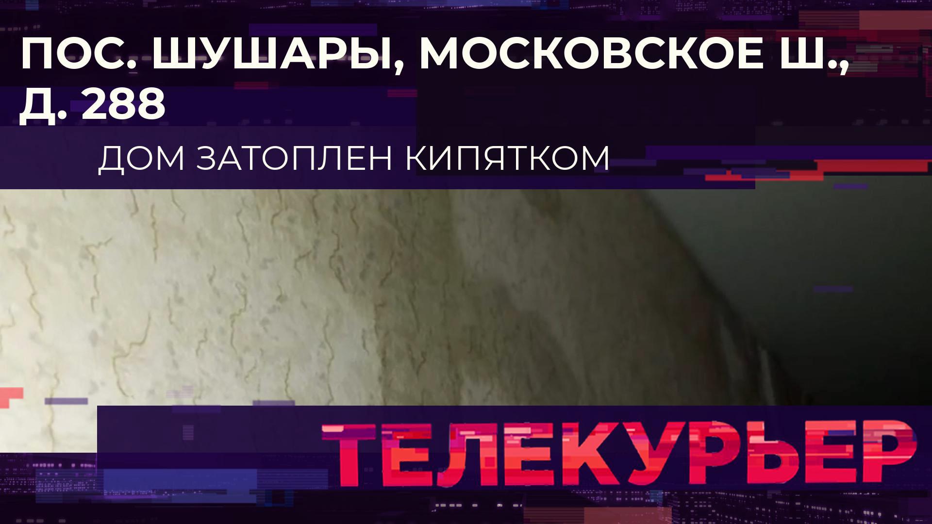 «Телекурьер» (7 октября 2024)