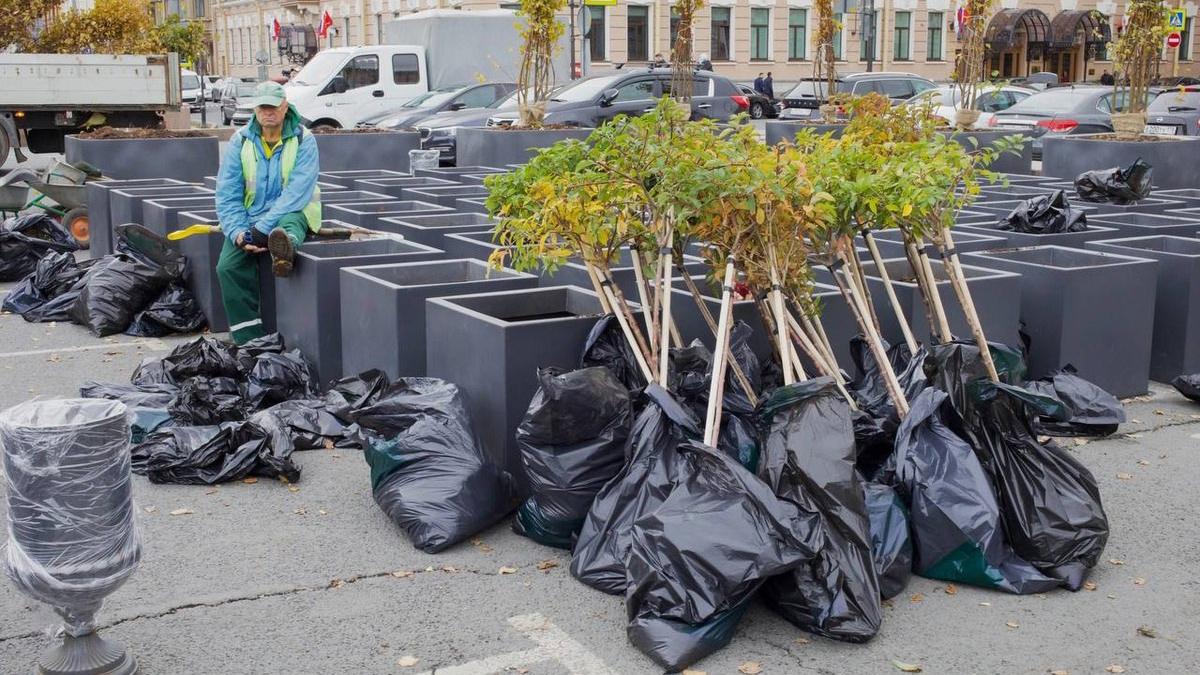 Фото: vk.com/spbgrajdanin