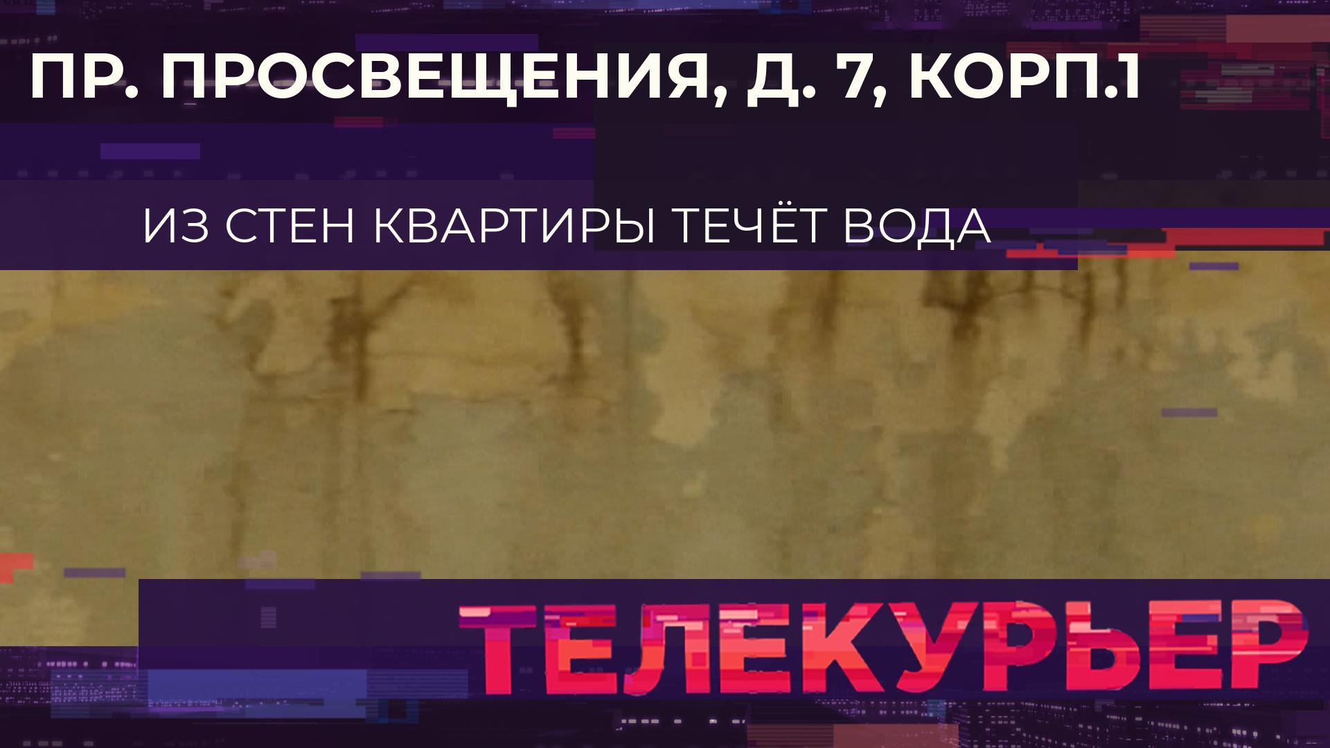 «Телекурьер» (11 октября 2024)