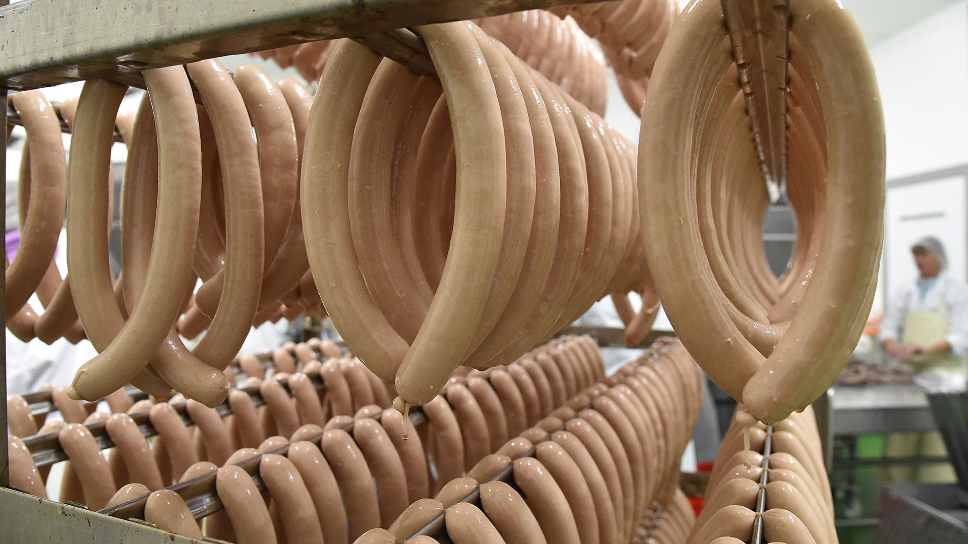 Фото: Bernd Settnik/globallookpress.com