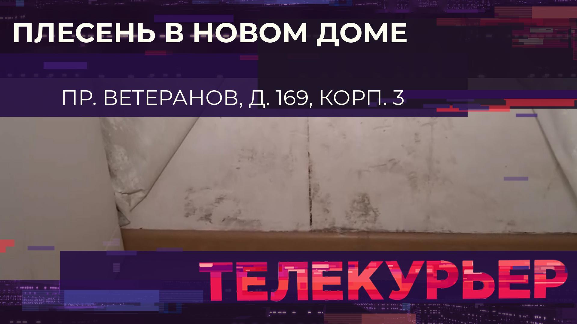 «Телекурьер» (17 октября 2024)