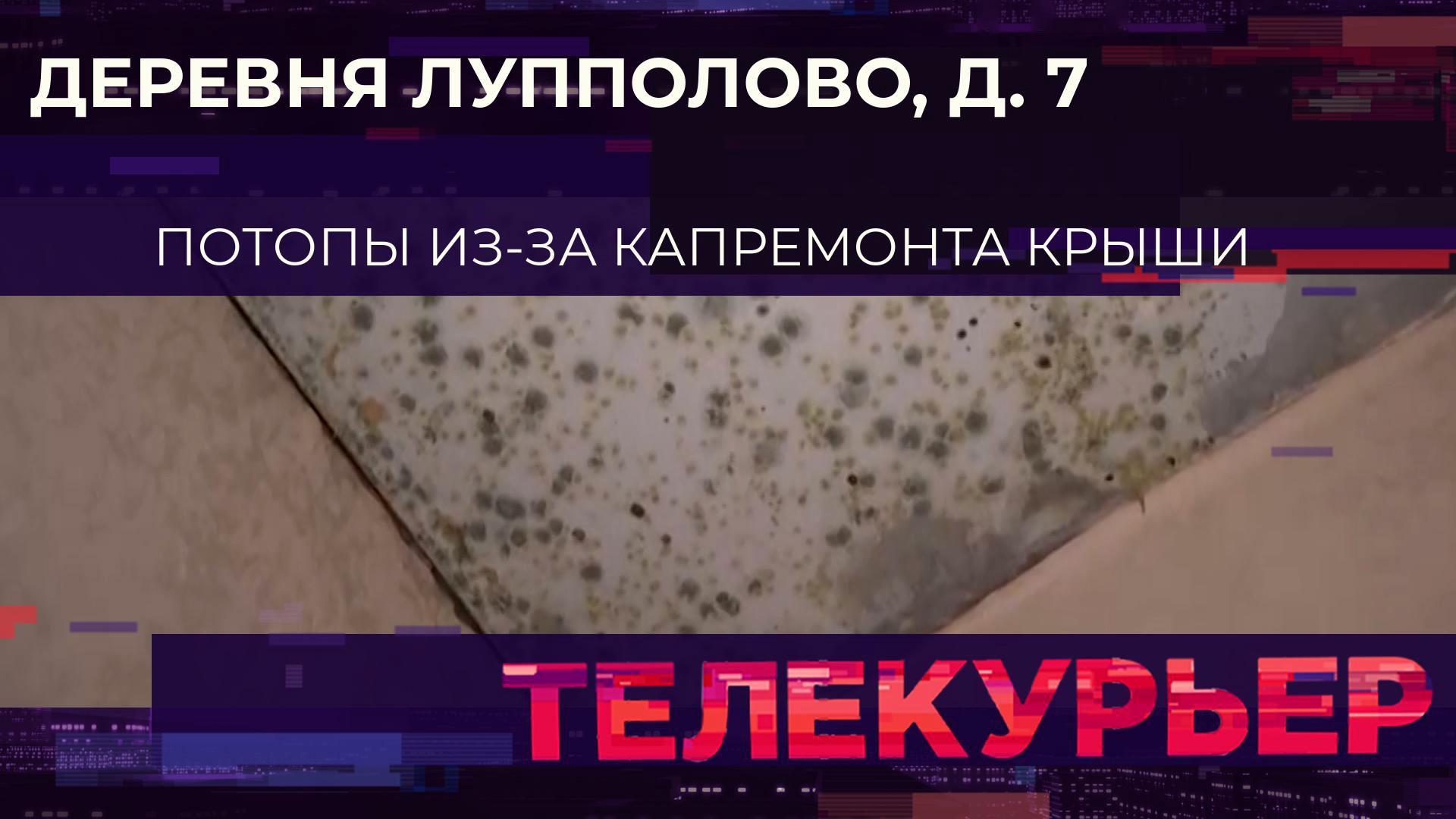 «Телекурьер» (18 октября 2024)