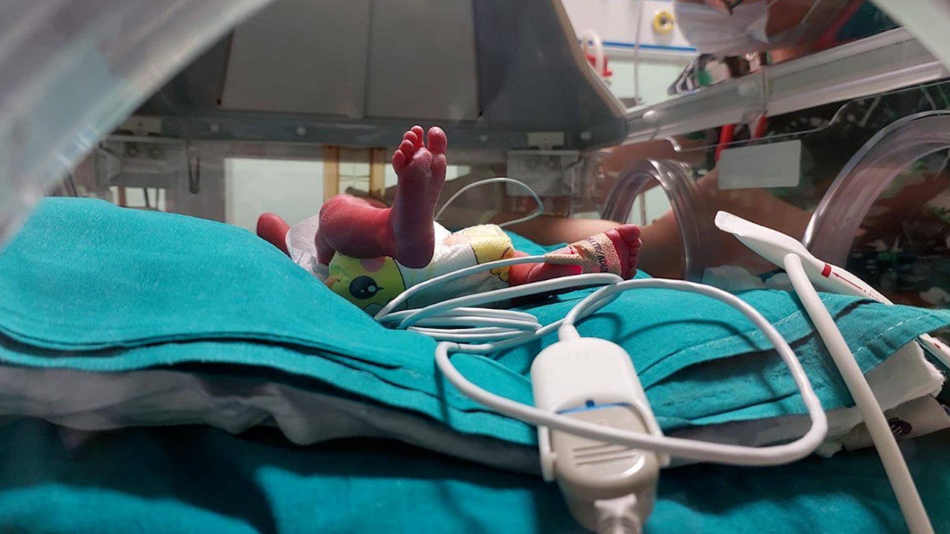 Фото: t.me/lenobladminka