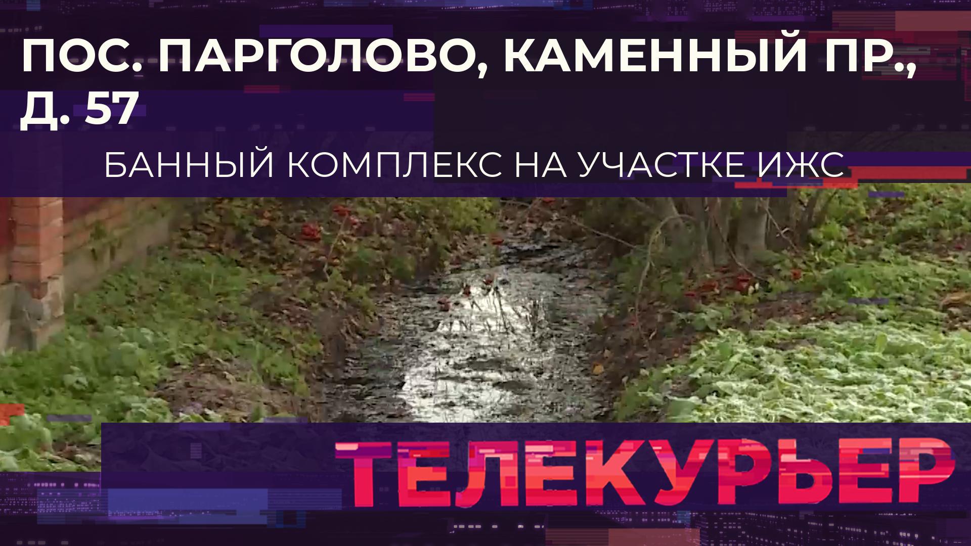 «Телекурьер» (12 ноября 2024)