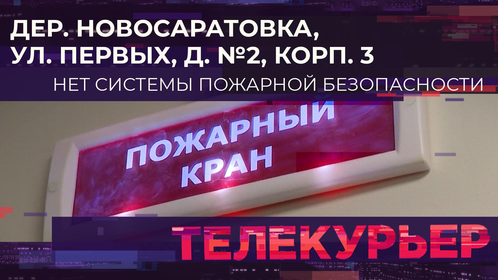 «Телекурьер» (13 ноября 2024)