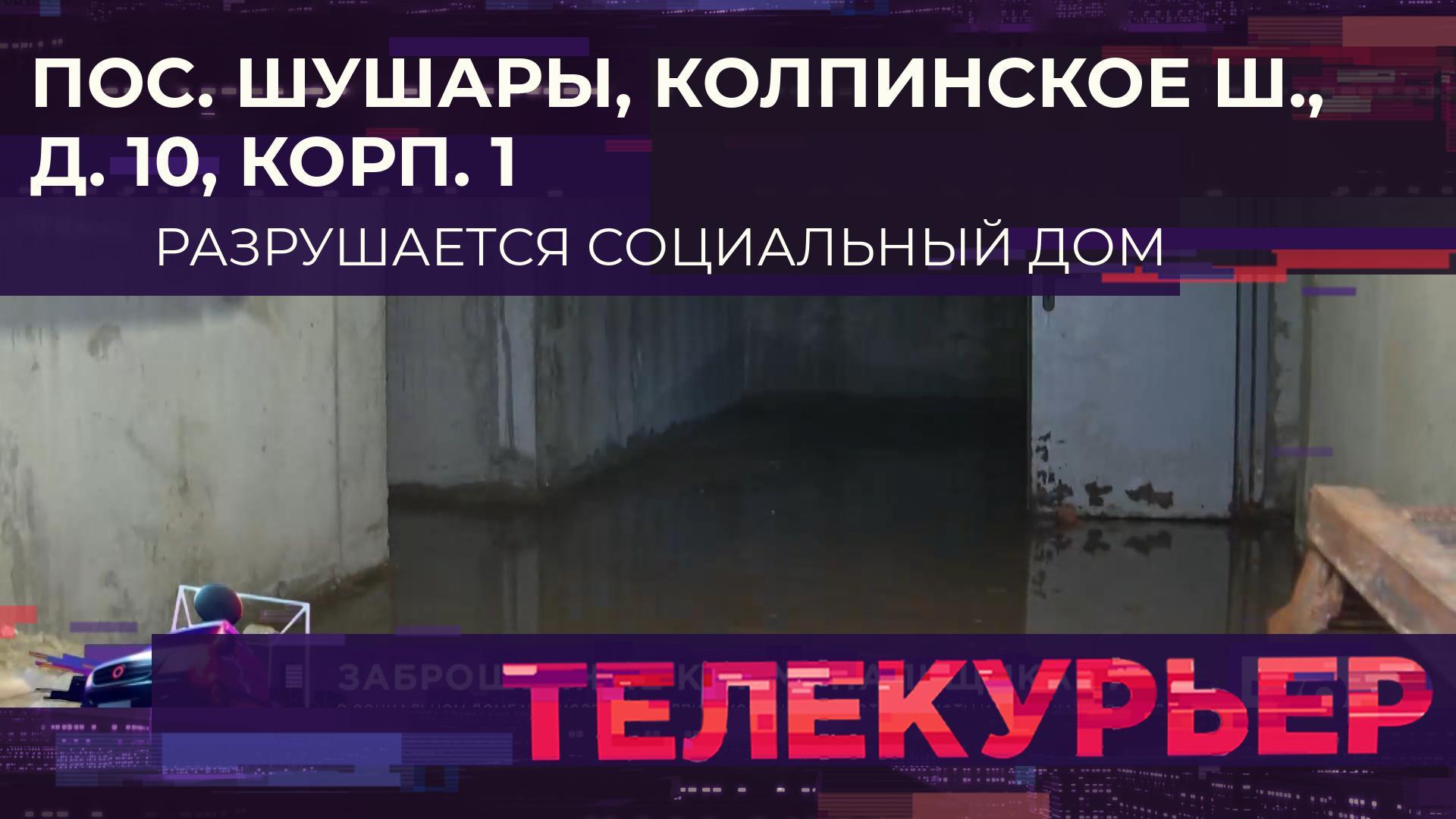 «Телекурьер» (14 ноября 2024)