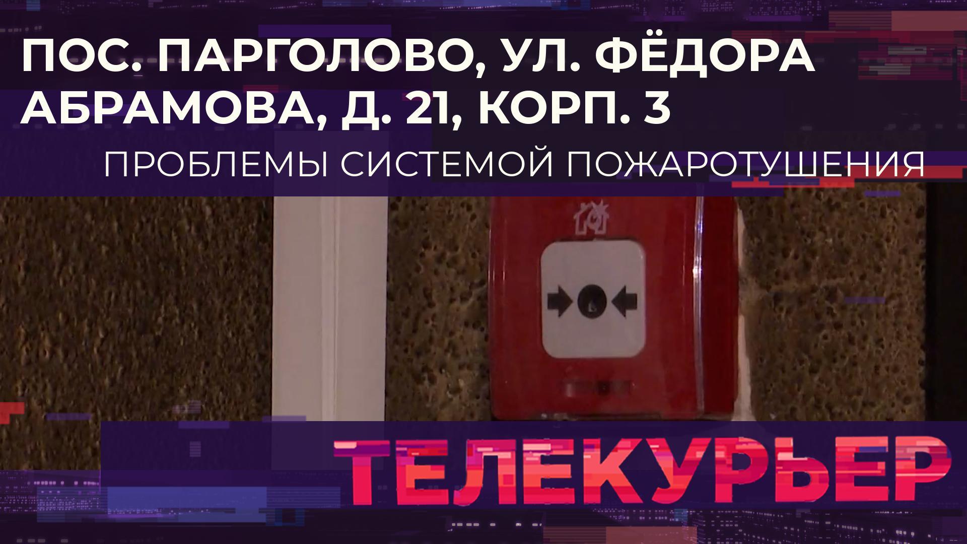 «Телекурьер» (21 ноября 2024)