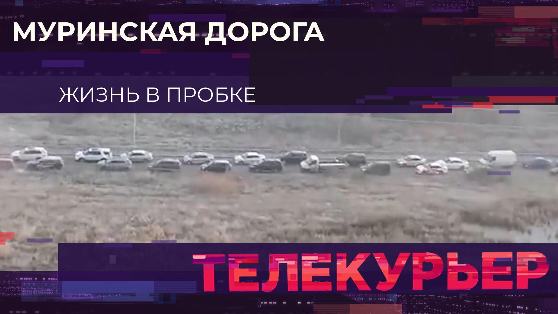 «Телекурьер» (22 ноября 2024)