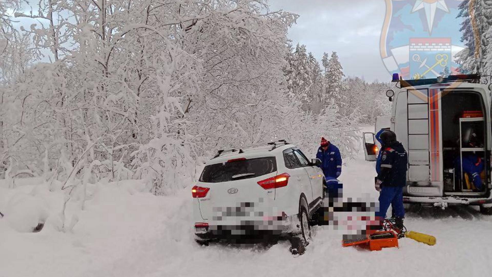 Фото: Пресс-служба Аварийно-спасательной службы Ленобласти