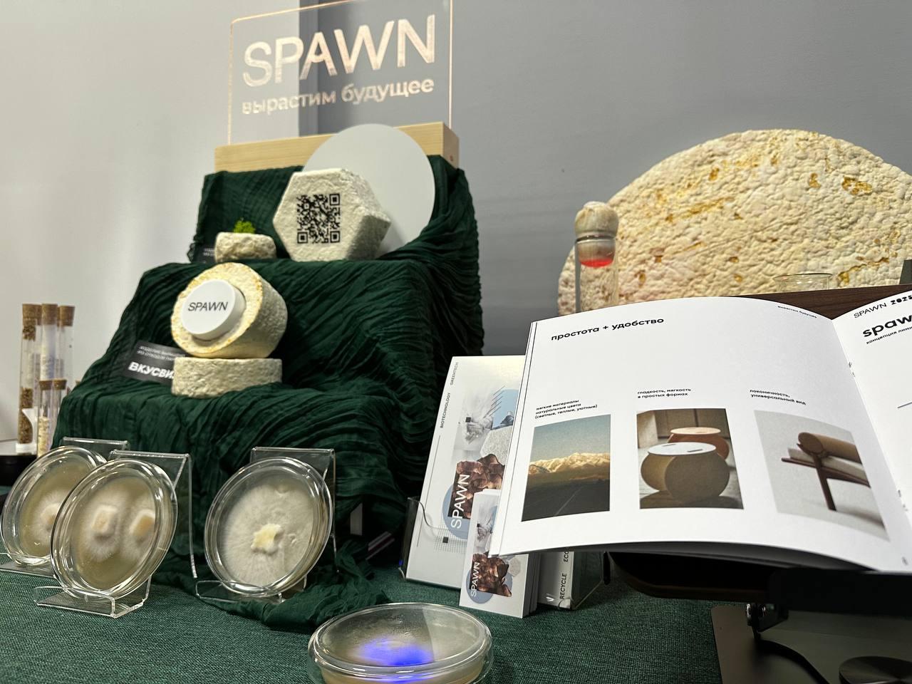 Фото: телеграм-канал Кирилла Соловейчика