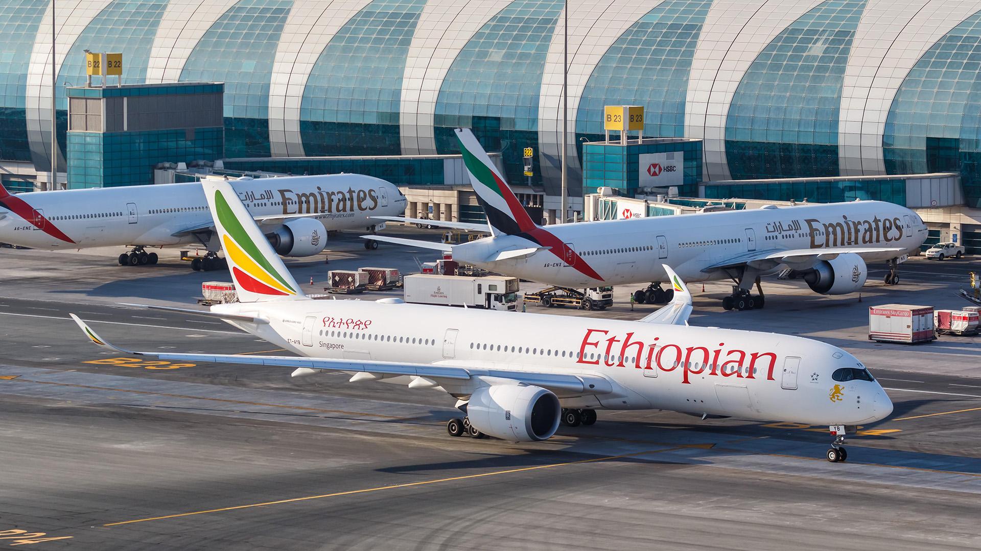 Фото: Markus Mainka/globallookpress.com