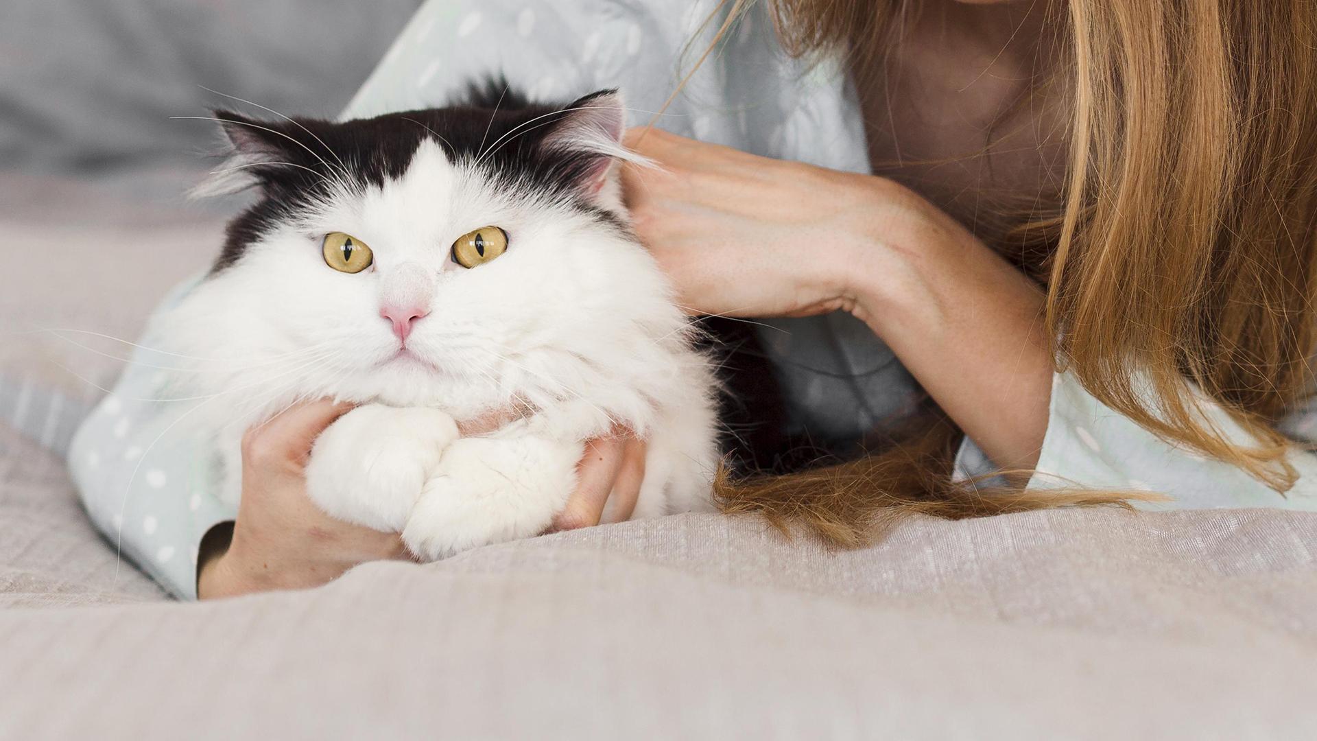 Фото: freepik.com